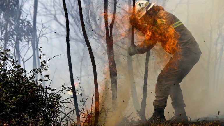 Às 8h18, a ANPC registava 21 incêndios rurais ativos, que estavam a ser combatidos por 763 bombeiros