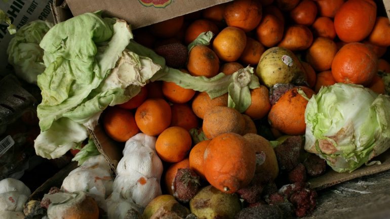 Maior parte dos alimentos desperdiçados são os legumes, fruta e pão