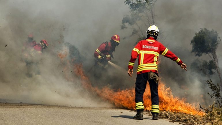 A campanha &quot;Cáritas Ajuda as Vítimas dos Incêndios em Portugal&quot; permitiu angariar 311.856,67 euros