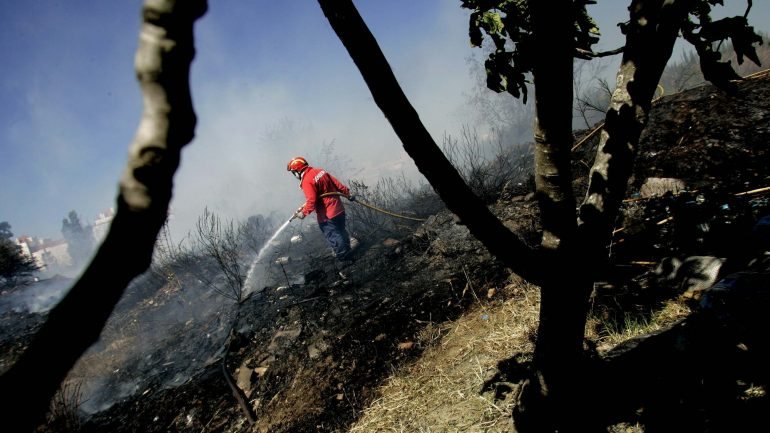 A área ardida este ano quase duplicou em relação a 2015, tendo os incêndios florestais consumido 107.128 hectares