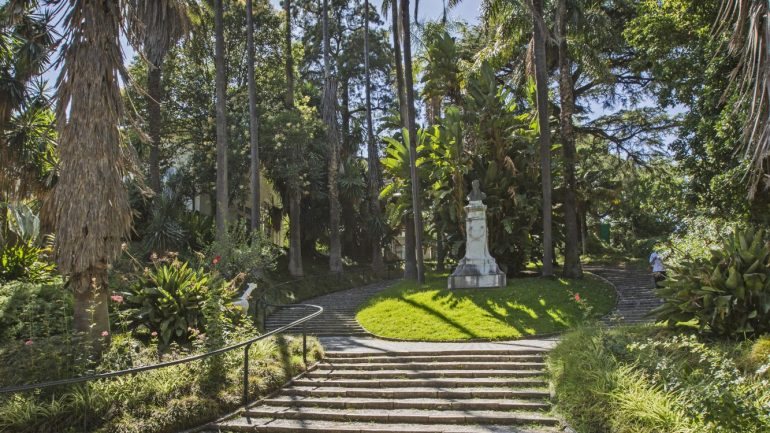 O Jardim Botânico de Lisboa foi fundado no século XIX