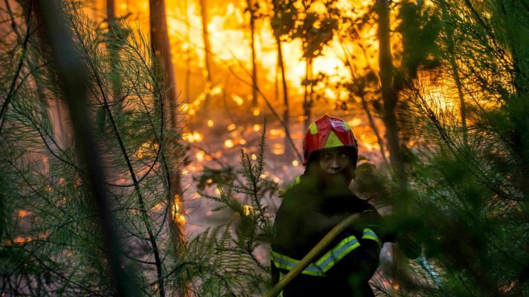 Segundo os dados apresentados, a área ardida este ano mais do que duplicou em relação a 2015, tendo os incêndios florestais consumido, até 30 de setembro, 150.499 hectares