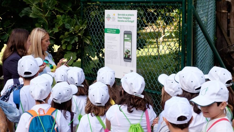 Aliar a tecnologia à descoberta das árvores de fruto existentes na Quinta Pedagógica dos Olivais é o novo desafio proposto para crianças, pais e escolas.