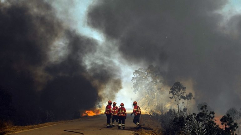 O verão de 2013 foi um dos piores em termos de incêndios florestais