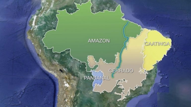 O corredor deverá ligar a savana do Cerrado até à floresta da Amazónia
