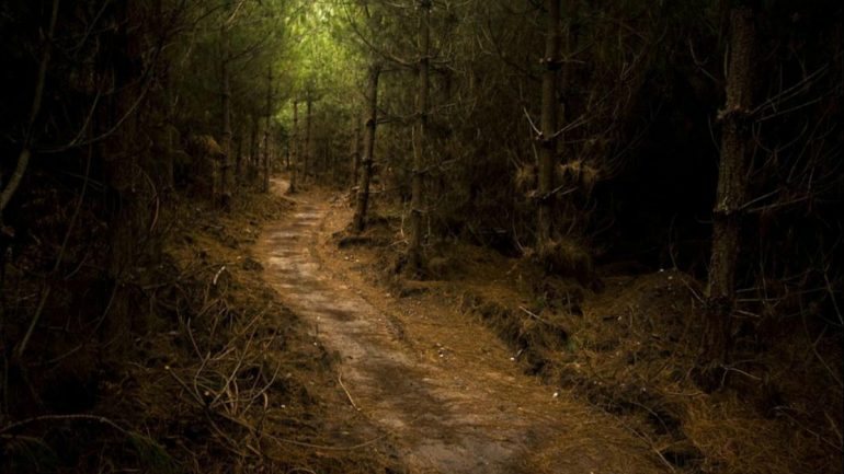 A floresta de Sherwood, com 423 hectares, encontra-se ameaçada pela multinacional química Ineos