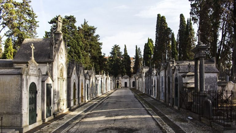 Com mais de 12 hectares, estão espalhados mais de 7.000 jazigos pelo Cemitério dos Prazeres