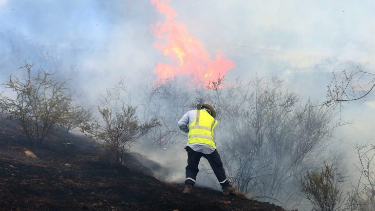 Os múltiplos incêndios, combatidos por milhares de bombeiros, soldados e voluntários, destruíram milhares de hectares de floresta