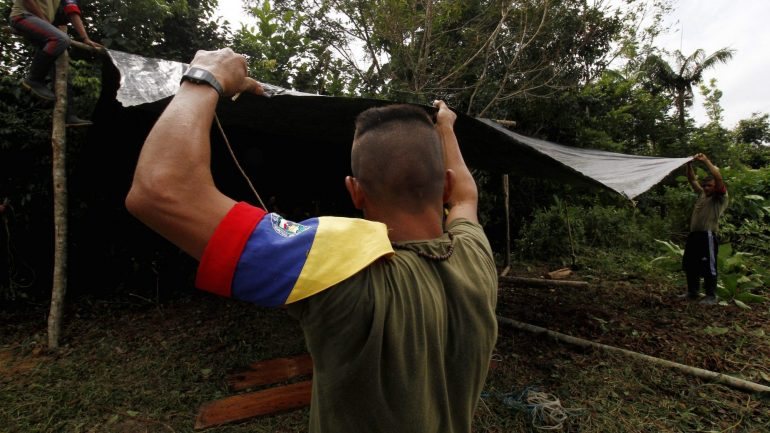 O alto-comissário para a Paz indicou que 5.784 guerrilheiros das FARC já deram entrada nas zonas transitórias de normalização de um universo total de 6.300 previstos
