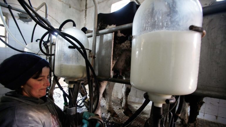 A redução voluntária da produção de leite é financiada pela Comissão Europeia