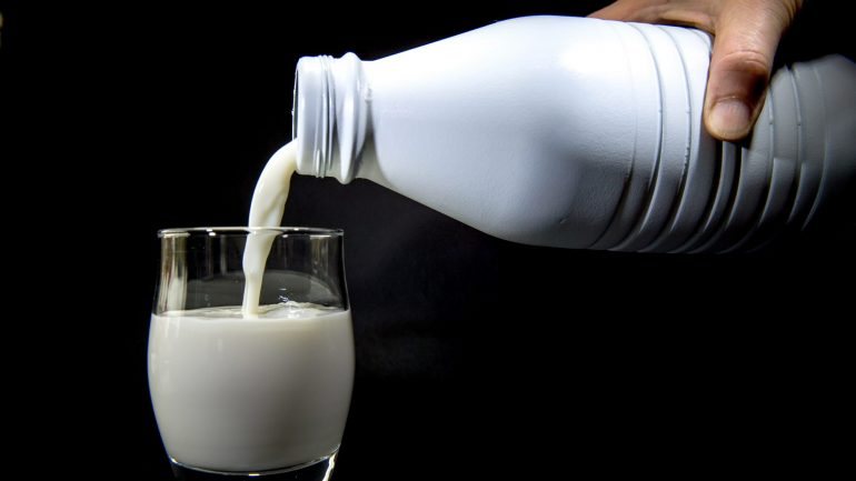 O Governo definiu o regime aplicável à composição, rotulagem e comercialização do leite e derivados.