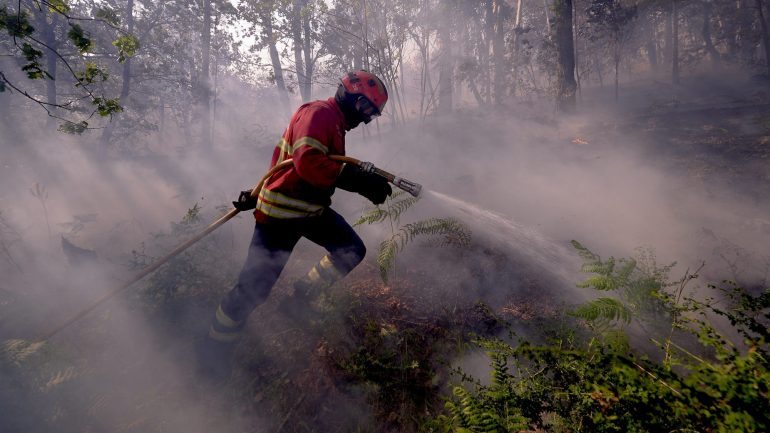 Este ano, a área ardida situa-se nos 13.530 hectares, enquanto no mesmo período de 2016 existiam 1.203 hectares de florestas consumidos pelas chamas
