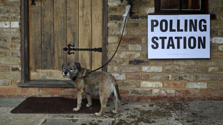 A tradição surgiu com as redes sociais: em dia de eleições, os britânicos levam os cães a votar