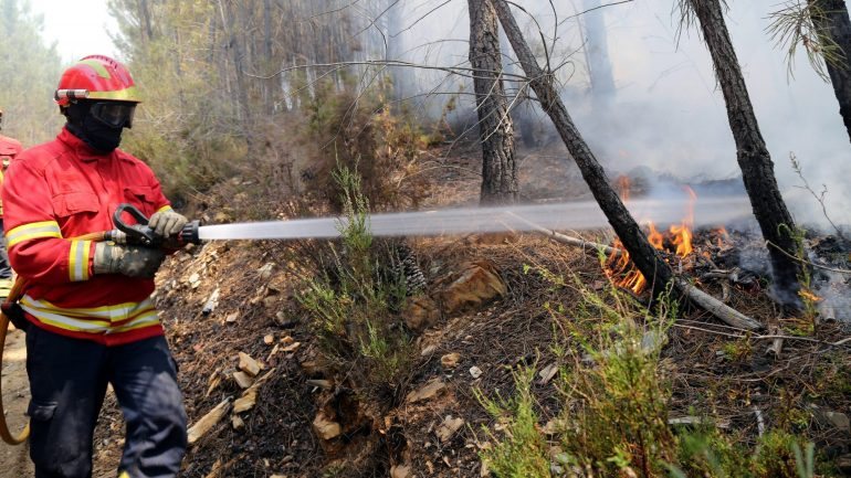 Este incêndio &quot;consumiu mais de um hectare de carvalhos, pinheiros e mato&quot;