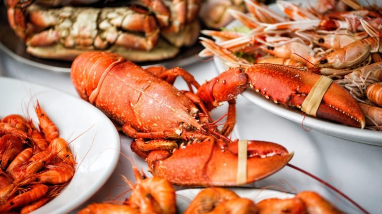 De Norte para Sul, com uma incursão pelas ilhas, fique a saber quais os melhores sítios para comer marisco em Portugal.
