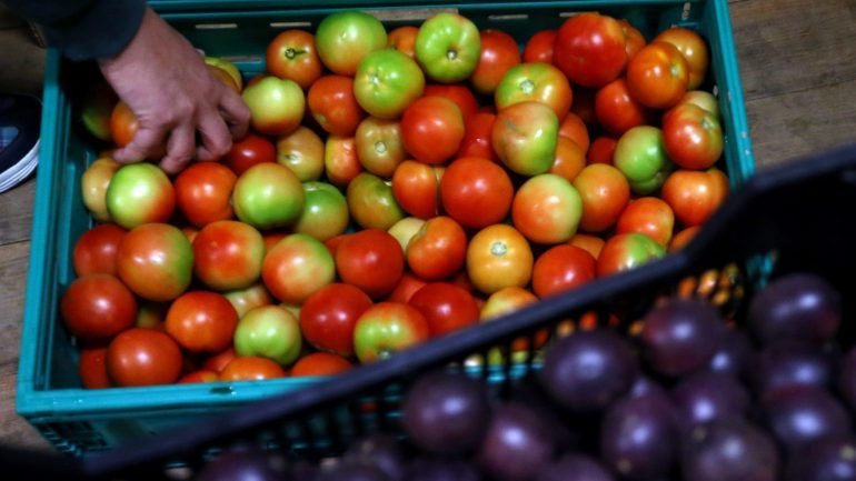 A ajuda abrange quatro grupos de frutos: maçãs e peras, ameixas, citrinos e pêssegos e nectarinas, sendo elegíveis 935 toneladas de peras e maçãs em Portugal