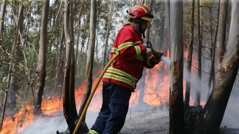 De 2003 a 2013 os prejuízos anuais dos incêndios são superiores a 205 milhões de euros