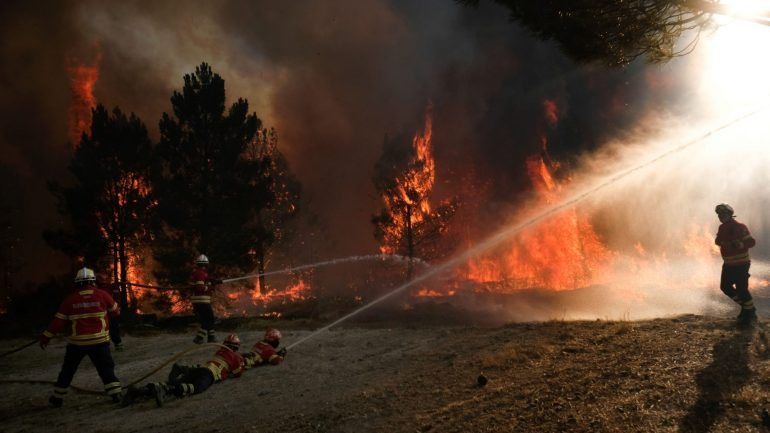 Os três incêndios deflagraram na tarde de domingo nas freguesias de Abrunhosa-a-Velha, de Cunha Baixa e de Santiago de Cassurrães e Póvoa de Cervães