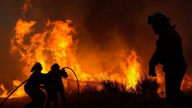 Entre 1 de janeiro e 24 de julho, deflagraram 7.795 incêndios florestais