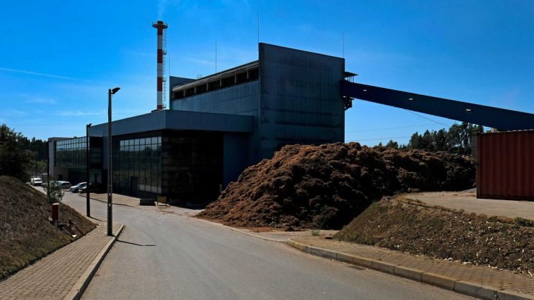A Central de Mortágua consume 300 toneladas por dia de biomassa florestal