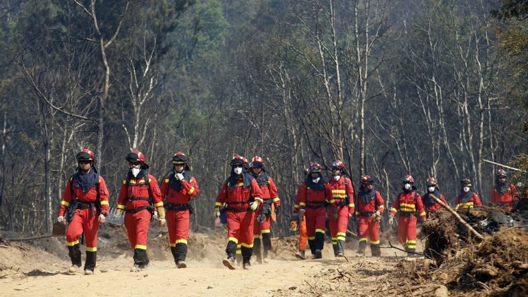 Desde 11 de agosto, os incêndios florestais e respetivo combate provocaram um morto e 147 feridos