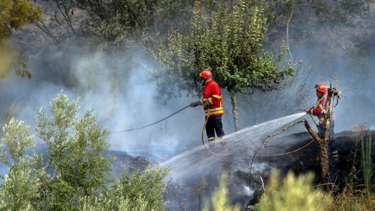 Pelas 4h20 ardiam outros três fogos, dois deles na Covilhã, no distrito de Castelo Branco