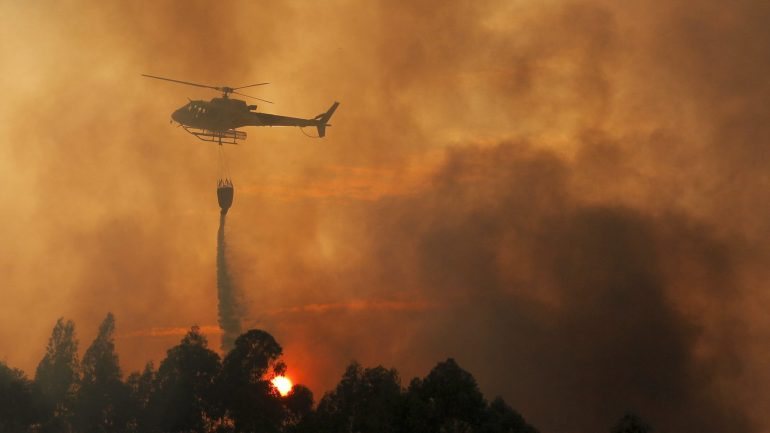 A decisão surge devido à incidência de incêndios florestais este ano em várias zonas do país