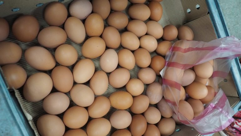 Portugal não consta da lista de países com ovos contaminados em circulação
