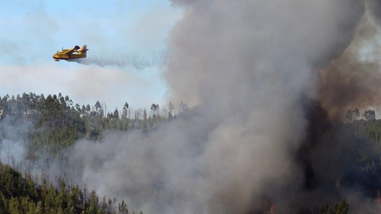 Desde que há registo, só houve dois anos em que ardeu mais área florestal: 2003 (425.839 hectares) e 2005 (339.089)