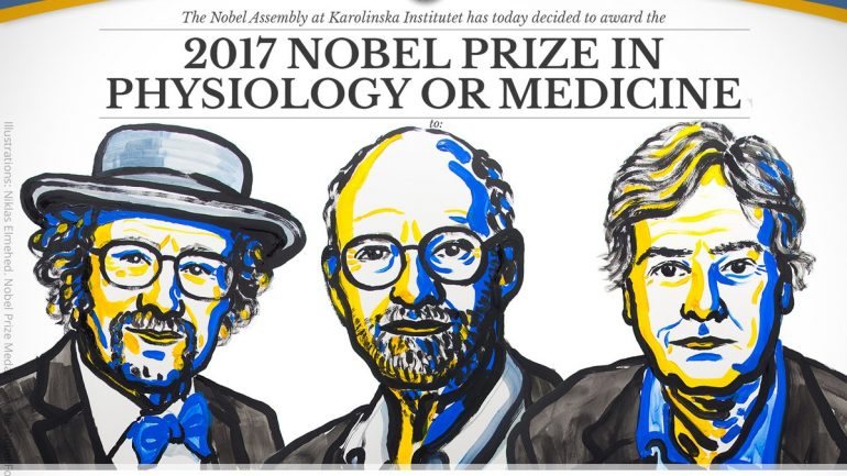 Os três laureados com o prémio Nobel da Medicina 2017
