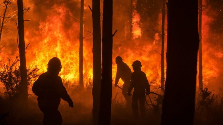 A Proteção Civil registou mais de 500 fogos florestais no domingo