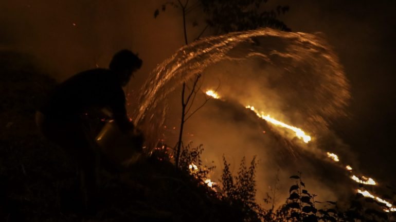 Os incêndios deste ano consumiram mais de 550 mil hectares