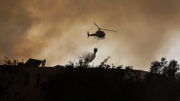 Os incêndios florestais provocaram mais de 100 mortes, este ano.