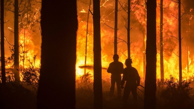 A proposta foi feita esta quinta-feira e pretende fazer face a catástrofes como os fogos em Portugal