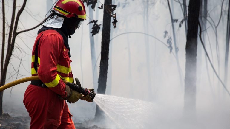 Os incêndios de junho e outubro fizeram mais de 100 mortos, cerca de 350 feridos e provocaram milhões de euros de prejuízos
