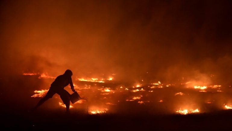 Entre Portugal, Espanha e Itália arderam mais de 800 mil hectares em 2017