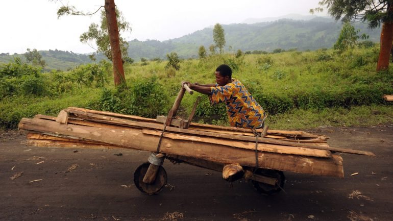 Habitante da República Democrática do Congo transporta madeira