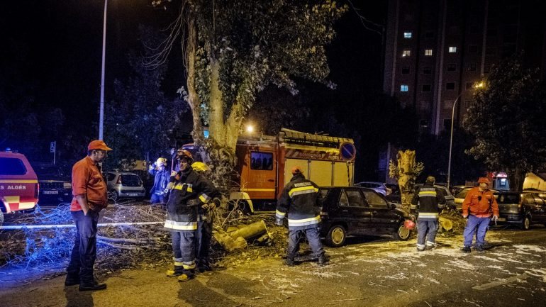 A passagem do Leslie provocou, sobretudo, a queda de árvores, além de ter provocado vários danos em edifícios no distrito de Coimbra