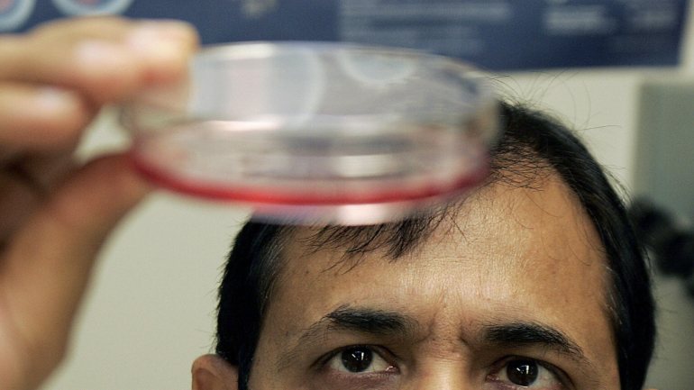 O diretor do laboratório de terapia genética de Purdue University examina uma célula infetada com adenovírus. (Foto: JEFF HAYNES/AFP/Getty Images)
