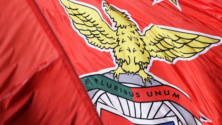 O Benfica já foi esta temporada condenado a pagar uma multa de 20 mil euros pelo uso de material pirotécnico