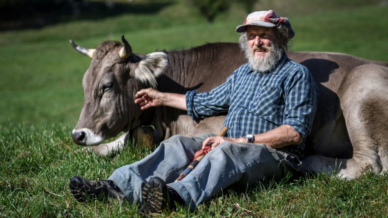 Armin Capaul, agricultor e ativista animal, ao lado de uma vaca com chifres, símbolo nacional da Suíça