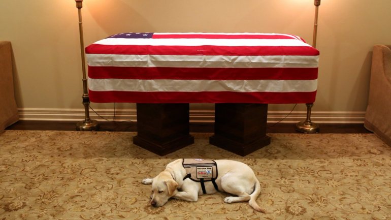 Sully tem a sua &quot;missão cumprida&quot; e parece estar de luto ao lado do caixão de George H. W. Bush, falecido na sexta-feira, aos 94 anos (fotografia retirada do Twitter)
