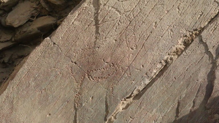 A arte rupestre do Côa está inscrita na Lista do Património Mundial da UNESCO desde 1998