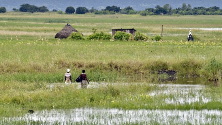 Zona de Xai Xai ameçada pela subida das águas do Rio Limpopo
