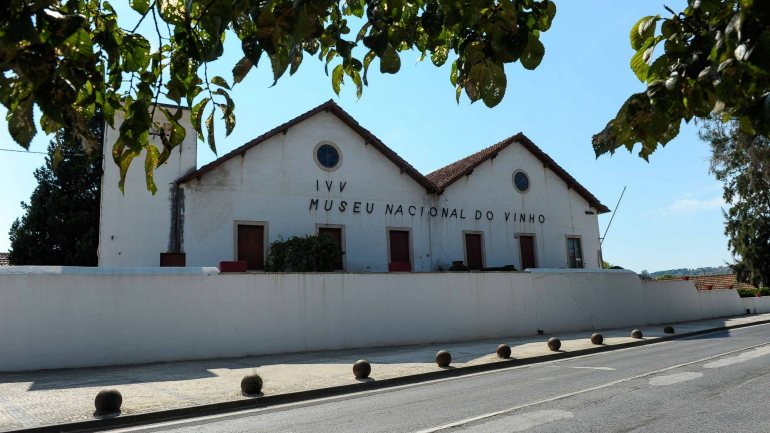 O Museu do Vinho de Alcobaça registou mais de 10.600 visitantes, o maior registo desde a reabertura ao público