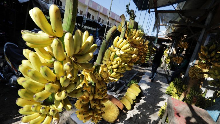 Da banana madeirense produzida em 2017, o continente continua a ser o principal mercado de exportação