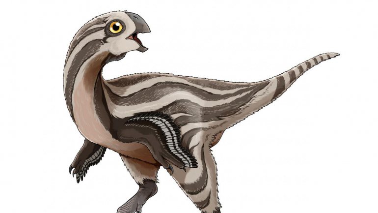 Os ovirraptossauros eram um grupo de dinossauros que viveu no período Cretáceo, entre 145 milhões e 66 milhões de anos