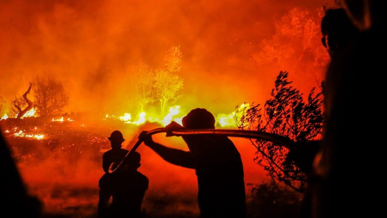A iniciativa foi apresentada pela Comissão Europeia em novembro de 2017, na sequência dos incêndios florestais desse ano no sul da Europa