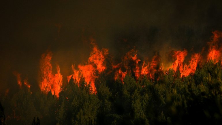 Os fogos que lavraram na região Centro nos dias 15 e 16 de outubro de 2017 causaram a morte de 50 pessoas