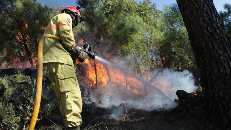 Um bombeiro em outubro de 2018, no combate a um incêndio em Aldeia Nova, concelho de Trancoso